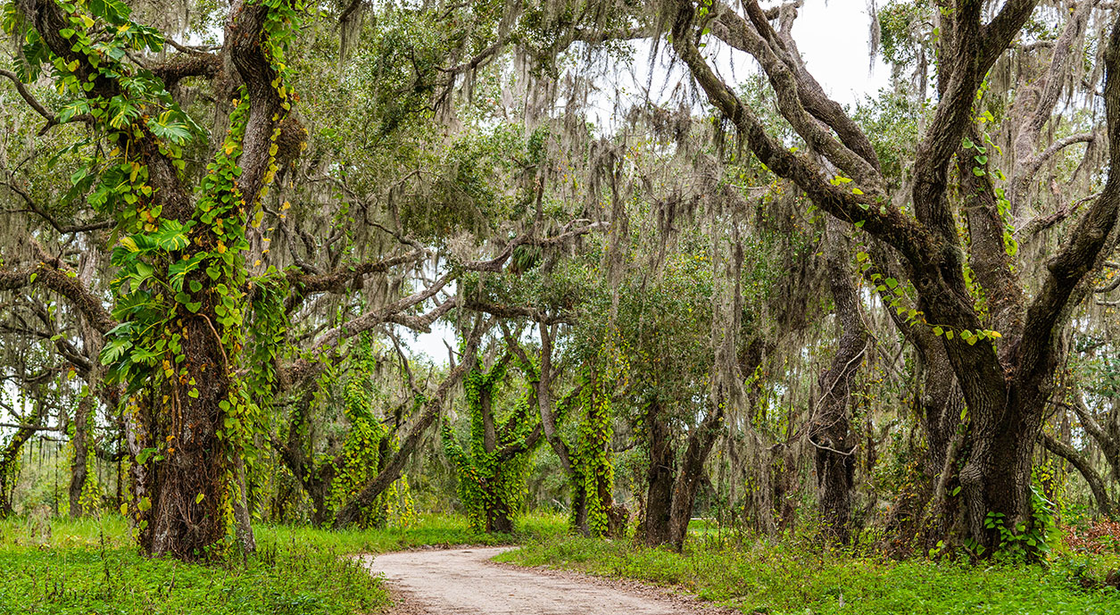 Coleman Landing at Shady Oaks Recreation Area - Polk County Government