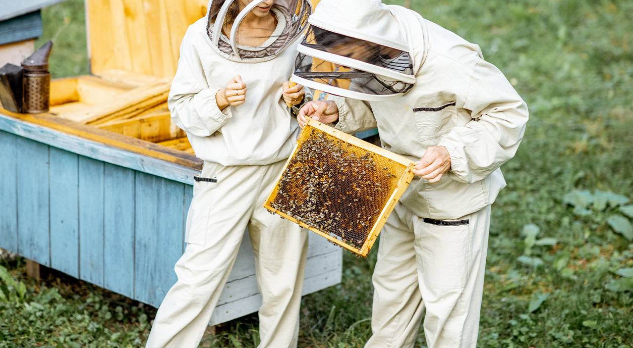 4H Farm to Table Spring Break Camp Beekeeping Polk County